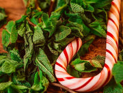 Azure Gold Shisha 100g Rio Mint