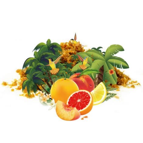 Eternal Smoke Shisha 250g Caribbean Nights