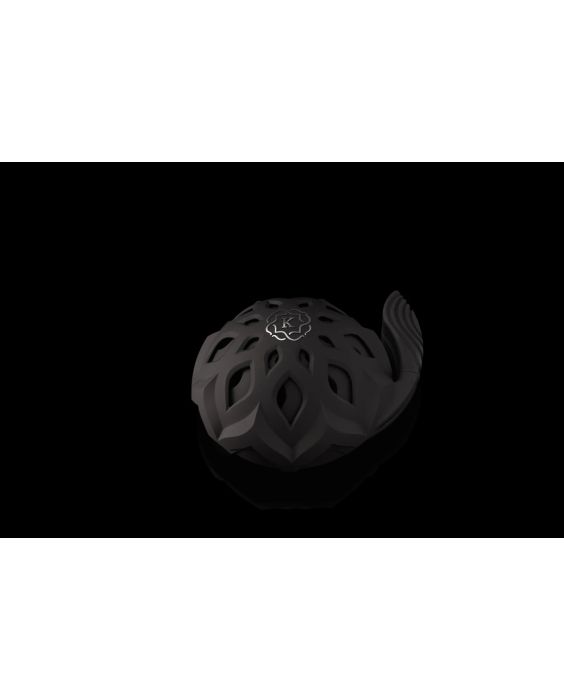 Kaloud Lotus III Heat Management System