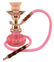 Pumpkin Hookah 9" 1 Hose Pink