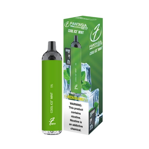 Disposable E-Hookahs Disposable E-Hookahs